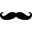 mustache