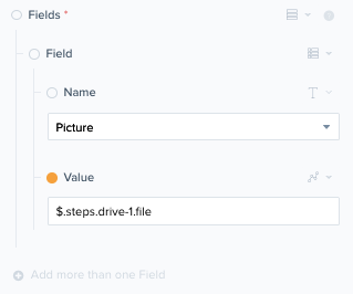 docs-file_value.png