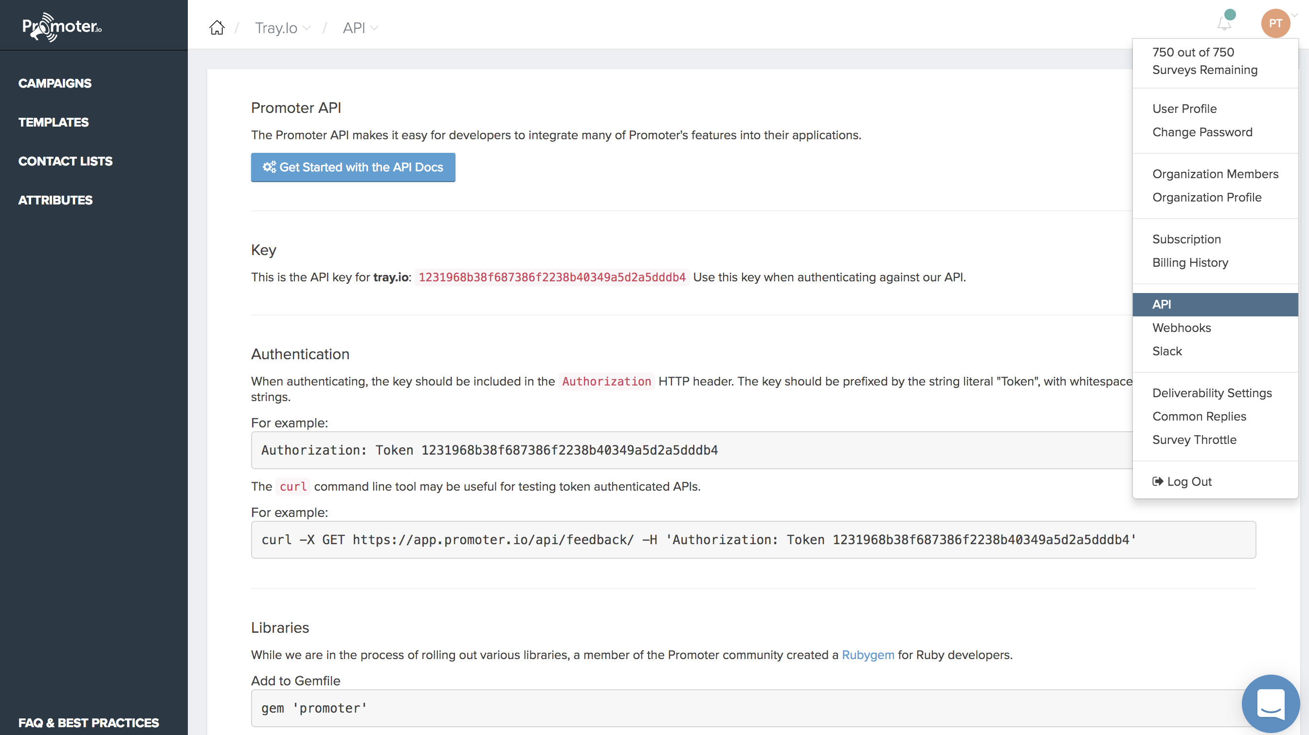 API Section