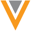 Veeva icon